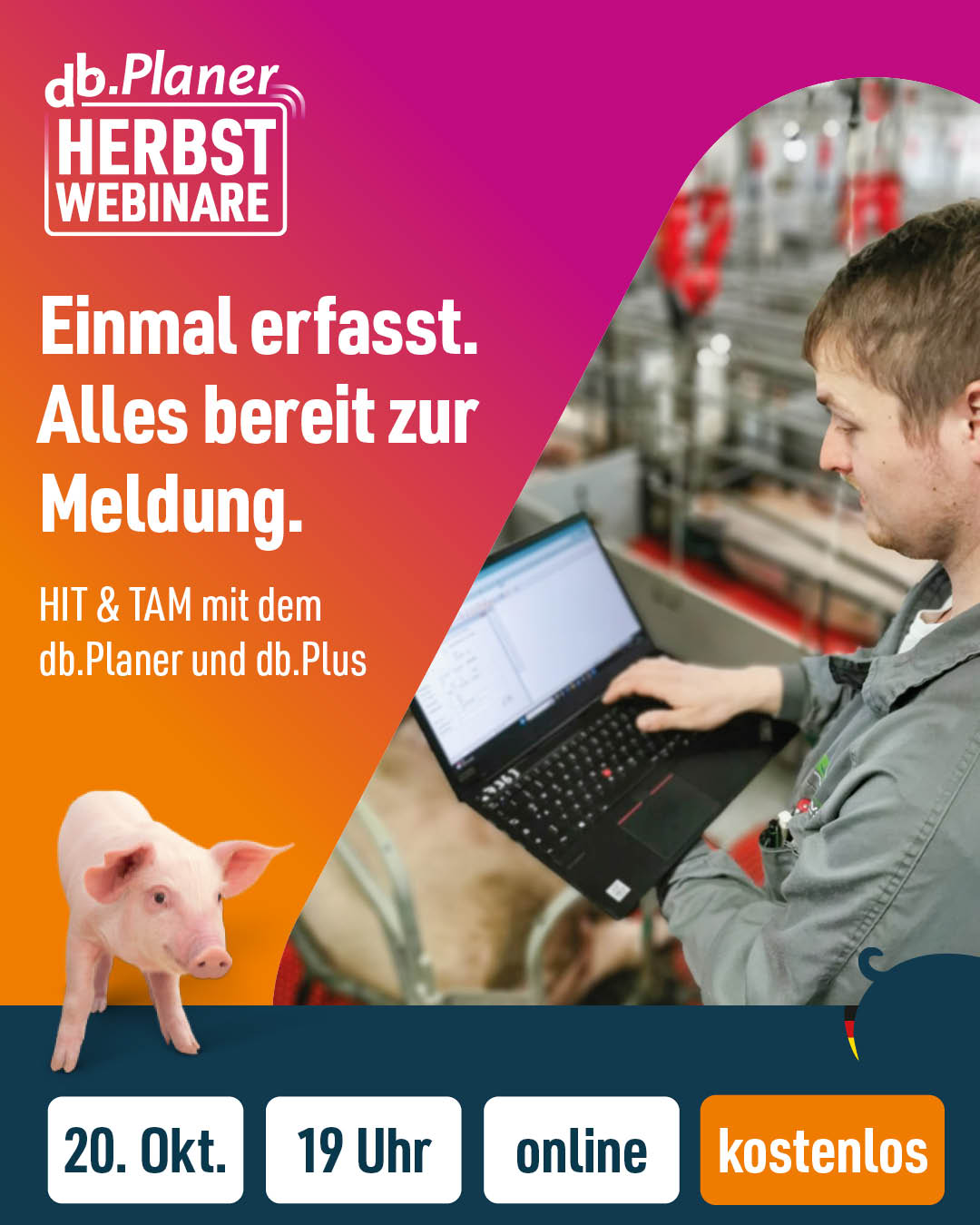 Einmal erfasst. Alles bereit zur Meldung.